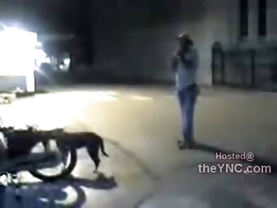 A Complete Assholepicks Up Innocent Dog by the Legs and Throws Him a Long Way