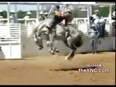 Horse Kicks the Fuck out of Rodeo Riders Jaw Knocking Him the FUCK Out