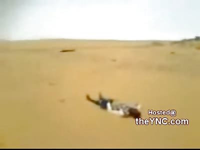 Entire Family in Full Rigor and Burnt to Crisp by the Hot Desert Sun