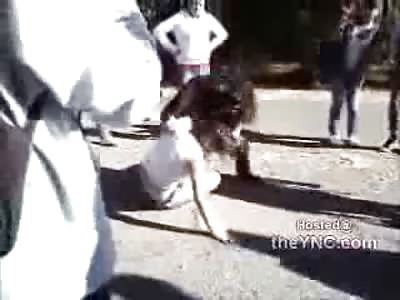 Cute Skinny Chick Beats Fat Bitch on the Playground