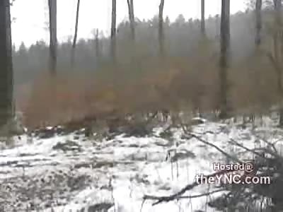 BEYOND COOL: Little Girl Seen Floating in the Woods...WTMF?!!?