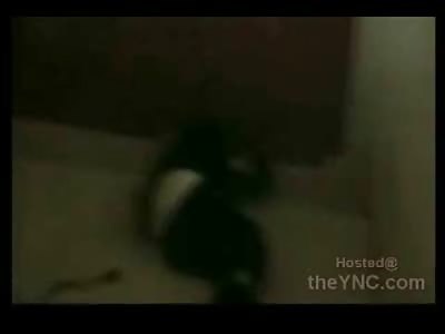 Absolutely BRUTAL Electric Torture and Beating with a Baseball Bat