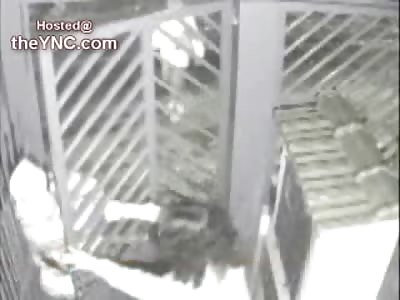 Female Student Murdered with Pistol Shot to the Face