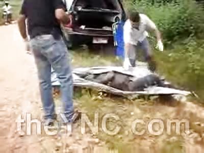 Vomiting Cameraman just can't take the Odor of a Rotting Corpse