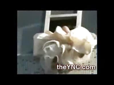 The Blushing Bride wants Out. Girl getting Married tries to Jump out the Window