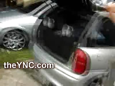 Try not to Watch the Girls....Look for the Village Idiot Dancing on the Giant Speakers