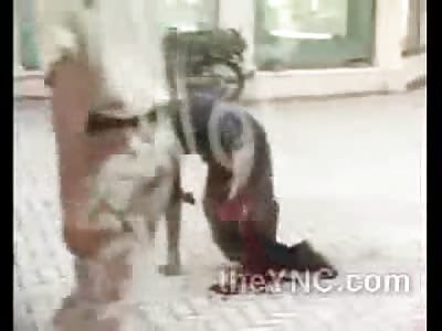 Pakistani Army Execute a Boy at Point Blank Range