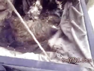 Very Bizarrre Video shows Mexicans Invading a Mausoleum and taking the Corpses into Bags