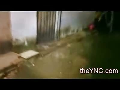 THE Freshest Blood in this News Report from Brazil