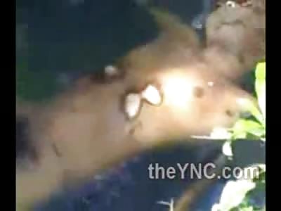 Field Trip: Little Kids Gawk at the Dead Guy