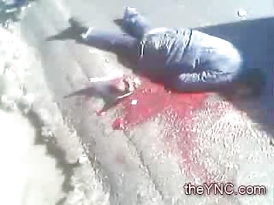 Melon Head...Mans Skull Popped like a Melon on the Pavement and his Brains left Everywhere