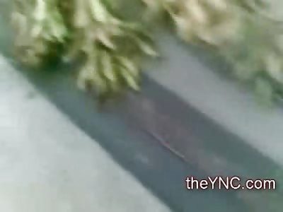 Ugh...Female Run Over by Lumber Truck has Intestines coming out of her Rectum 