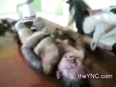 Disgusting: Rotting Woman in the Morgue is Celebrated Over by Bizarre Kids on Camera