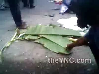 Little Head Spillage Under the Leaves