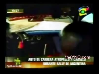 Horse Videos: One Horse Blasted by a Race Car, Another Horse attacks a Bull at Event in Spain