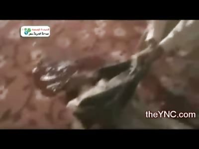 Boys Head Shot Off while having his Oatmeal, His Sister Wipes the Walls with his Blood