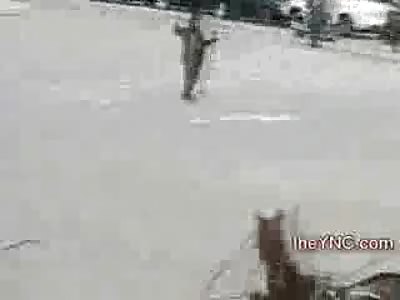 Man Thrown from Horse Convulses and later Dies during Military Parade