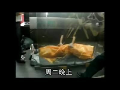 GAME OVER: Die Hard Gamer Suffers Defeat Mid-Game