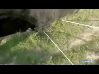 Half Naked Woman is pulled out of a Sinkhole she was put there by her Husband