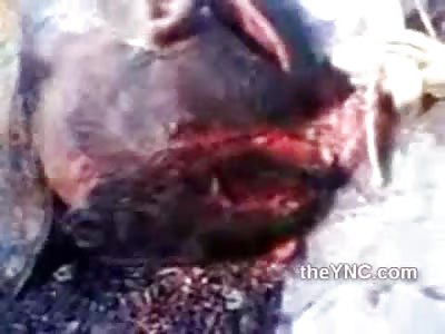 Brutal Machete Attack Victims got beyond Fu*ked up