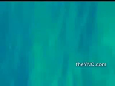 Ukrainian Diver Struck and Killed by Boat Propeller in Egypt (Shaky Cell Phone Video)