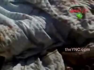 Fucked up Arab Dude isn't Quite Dead Yet