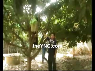 The Hanging Woman....