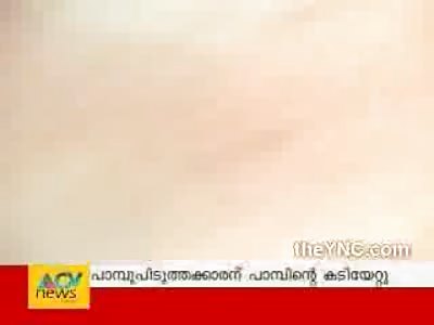 Cobra Owns the Shit out of Snake Charmer Idiot