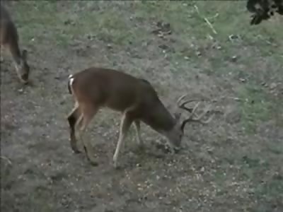 90 Kills by Bow and Arrow in 2 Minutes