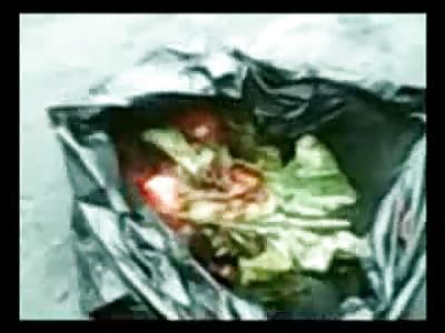 Hi Mom!! man picking up Guts with his Bare Hands is Proud of his Job