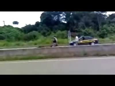 Police in Brazil Execute a Horse on the Street