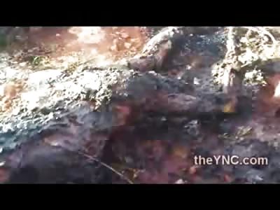 Men Beaten and Burned one Guys Head Split Wide Open