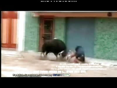 Bull sticks his Horn up the Man's Ass......leaves him in the Fetal Position