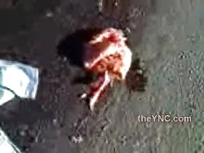 Woman Crying in Pain After Being Crushed by Truck in Motorcycle Accident