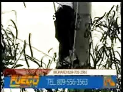 BZZZZAP!! Cameraman gets Perfect Shot of Man Dying after Suicide by Electricity