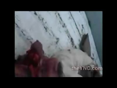 Dead with One of the Biggest in a Head I've ever Seen