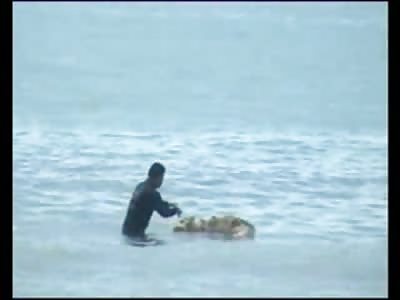 Headless Shredded Wheat looking Man Washes up on Shore