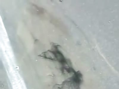 Female Crushed underneath Truck When Her Boyfriends Motorcycle Collided Head On