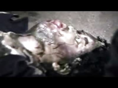 Two Decomposing Smelly Friends Taken out of the Trunk