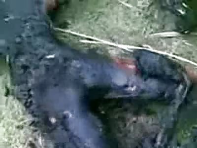 Men are Vaporized to Burnt Corpses