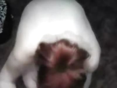 Guy Instructs Girl to Call her Boyfriend While he Unloads on Her