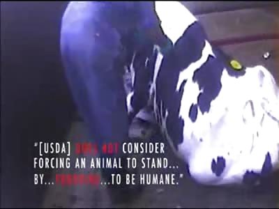 Meat Plant in California shut down