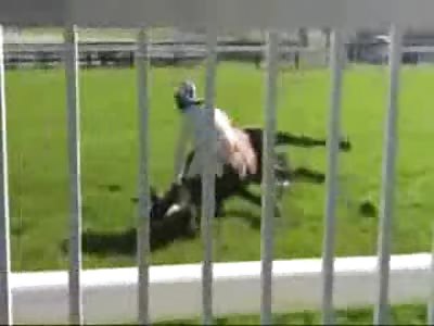 SO SAD: Race Horse Dies of Heart Attack During Live Racing Event