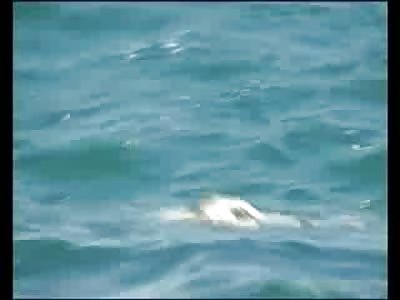 Beautiful Landscape and Blue Water and a Headless Bloated Corpse