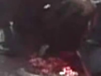 Picking up the Brains and Crushed head of the Dead Chick with Your Bare Hands