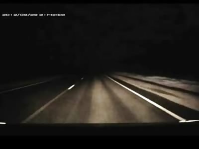 Car vs Suicidal Bear