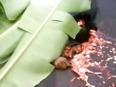 Brutal Carnage from Horrific Accident ..... Totally Mangled 