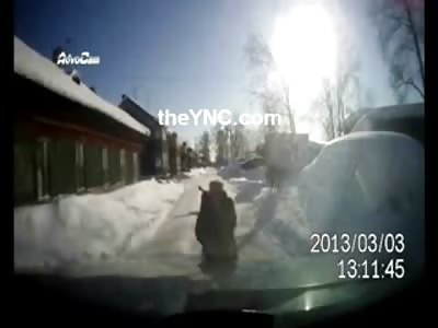 Man pulls up just in Time to Save a Woman from being Attacked by Dogs