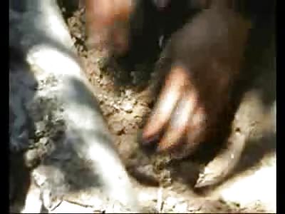 All Excited about having Twins but this Mom buried them in the Dirt