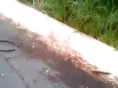 New Gore but Ill put it in More Videos because NO ONE WATCHES IT ANYMORE!!